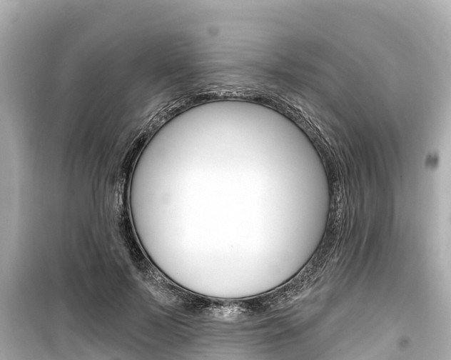 X0000099560695200805160751
