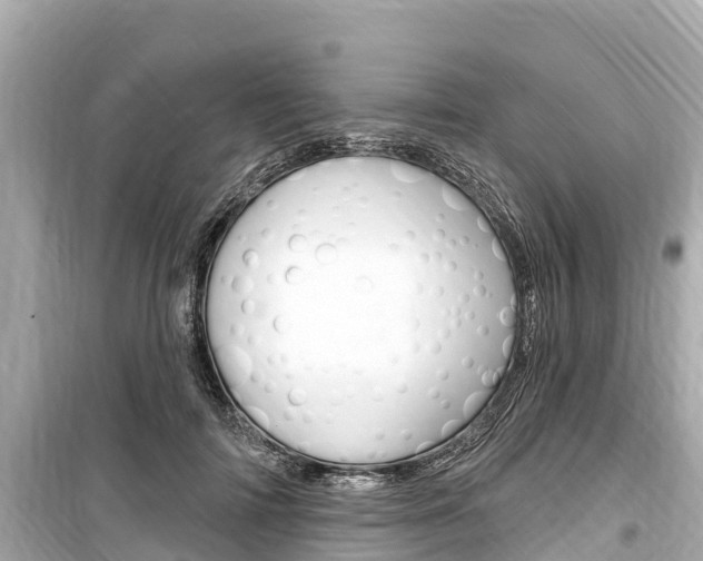 X0000099560698200805160751