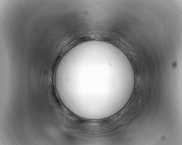 X0000099560702200805160750