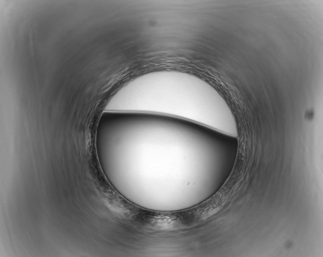 X0000099560704200805160750