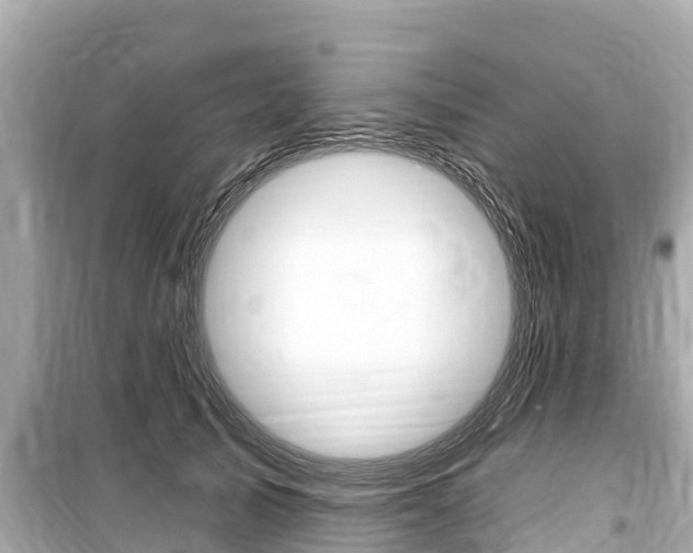 X0000099560705200805160750
