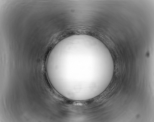 X0000099560706200805160750