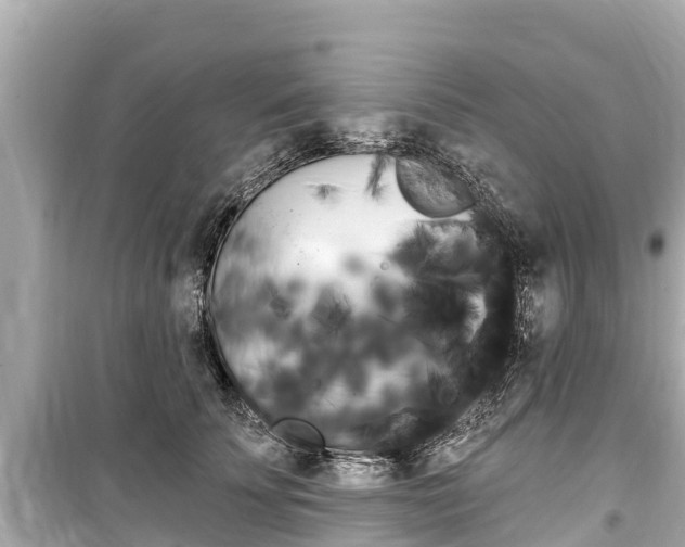 X0000099560707200805160750