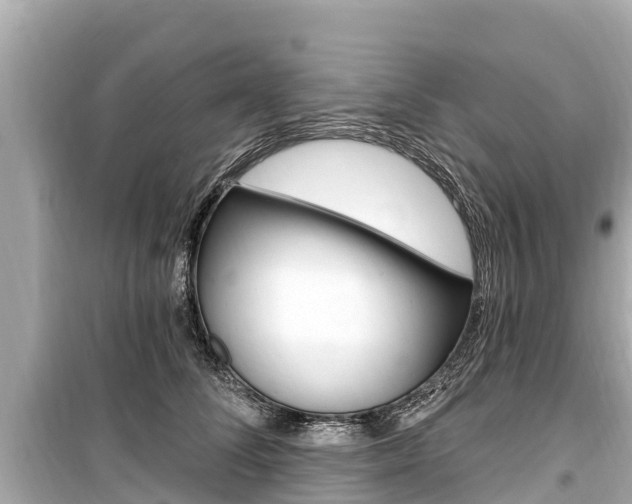 X0000099560708200805160750