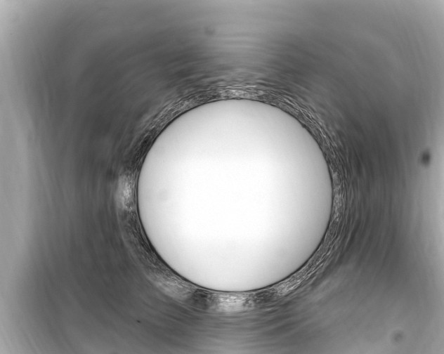 X0000099560709200805160750
