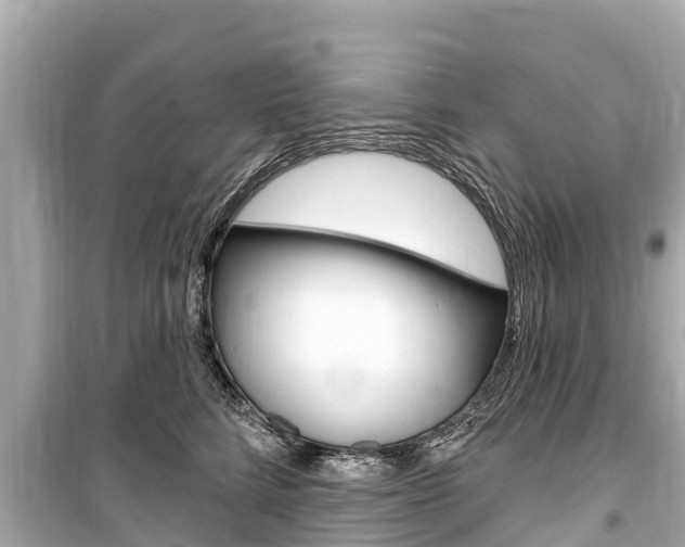 X0000099560712200805160750