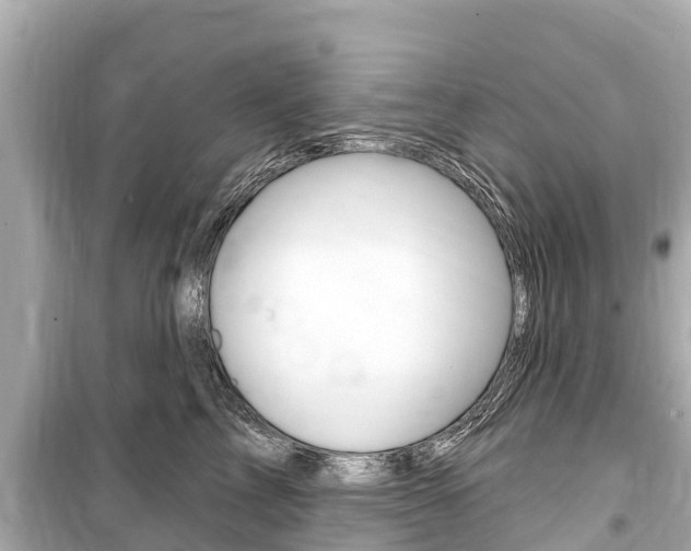 X0000099560713200805160750
