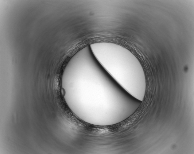 X0000099560715200805160750