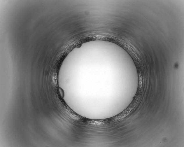 X0000099560718200805160750