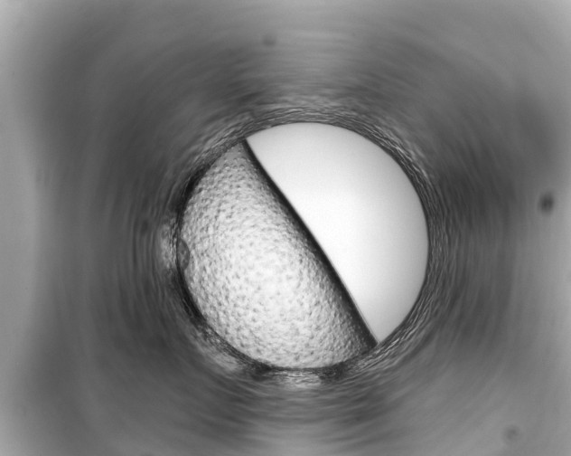 X0000099560719200805160750