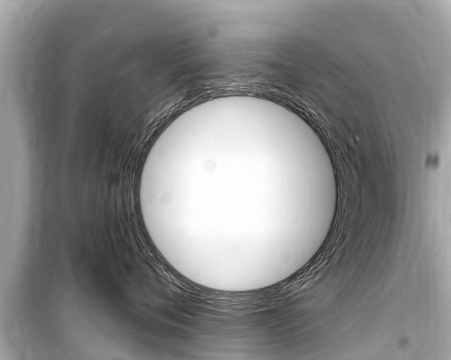 X0000099560720200805160750