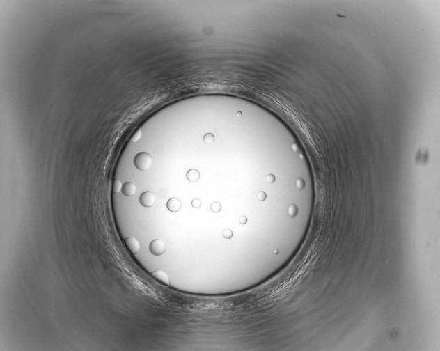 X0000099560721200805160750