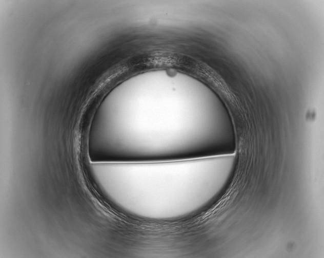 X0000099560722200805160750