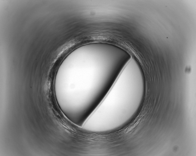 X0000099560723200805160750
