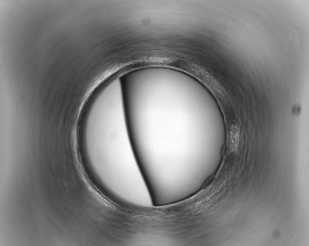 X0000099560726200805160750