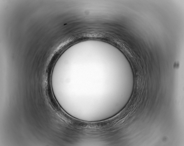 X0000099560727200805160750