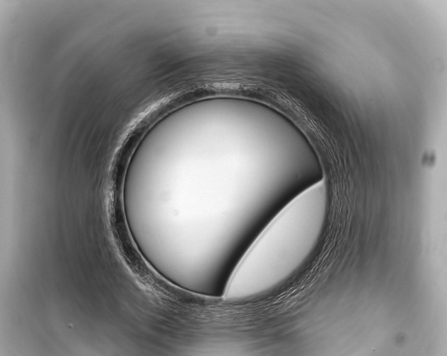 X0000099560728200805160750