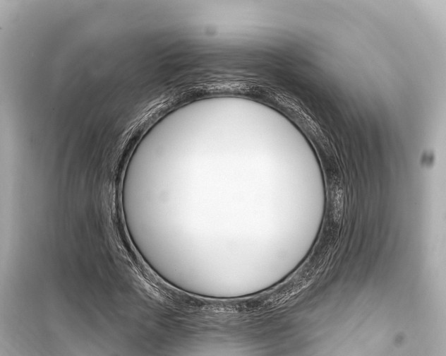 X0000099560729200805160750