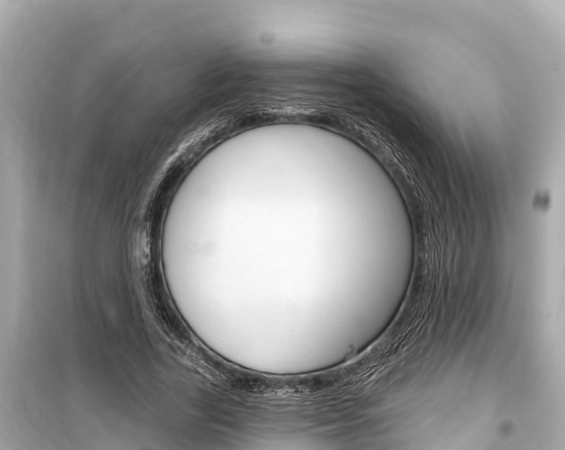 X0000099560731200805160750