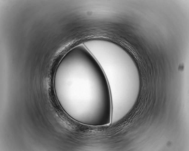 X0000099560732200805160750