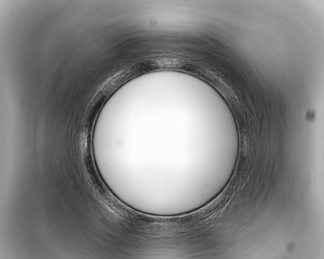 X0000099560733200805160750