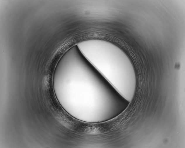 X0000099560735200805160750