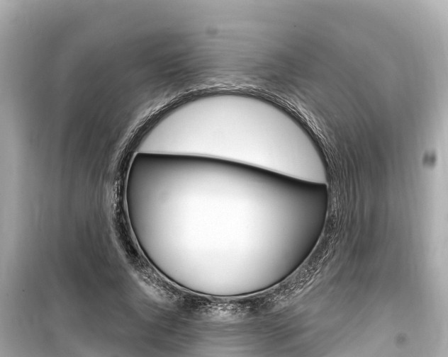 X0000099560736200805160750