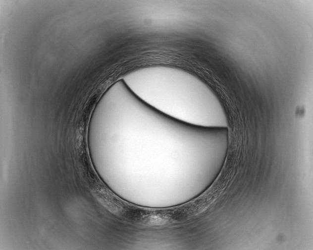 X0000099560737200805160750