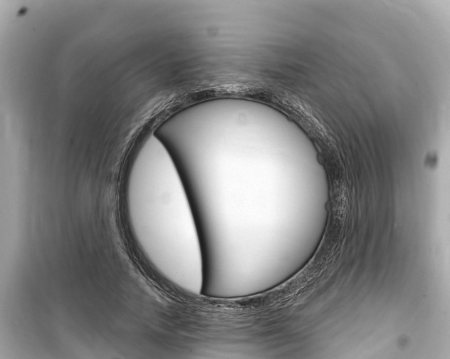 X0000099560738200805160750