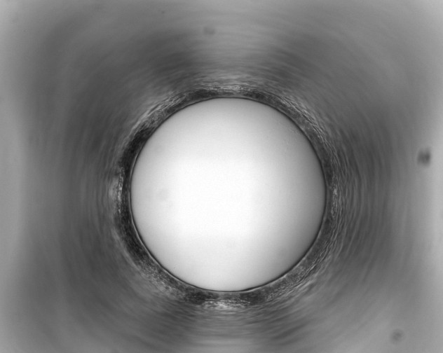 X0000099560739200805160750