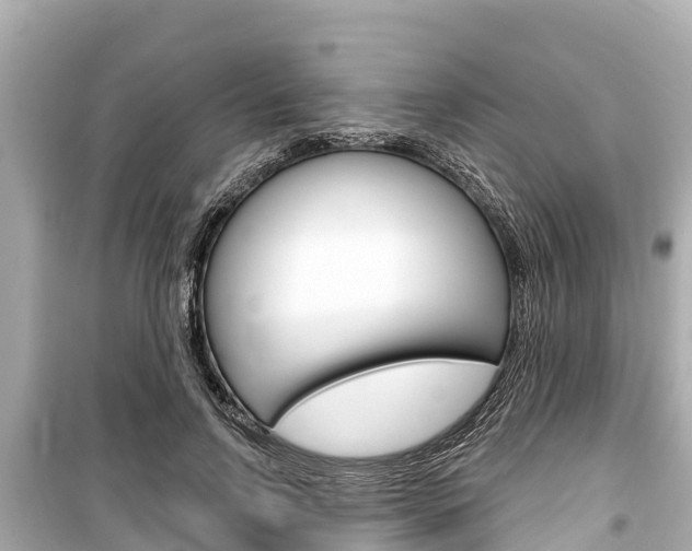 X0000099560742200805160750