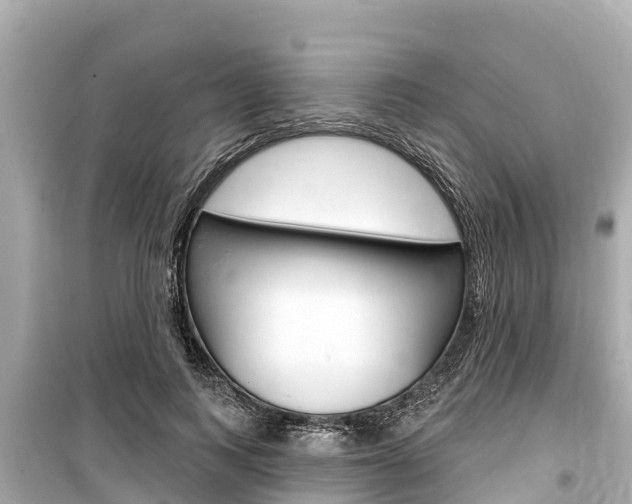 X0000099560743200805160750