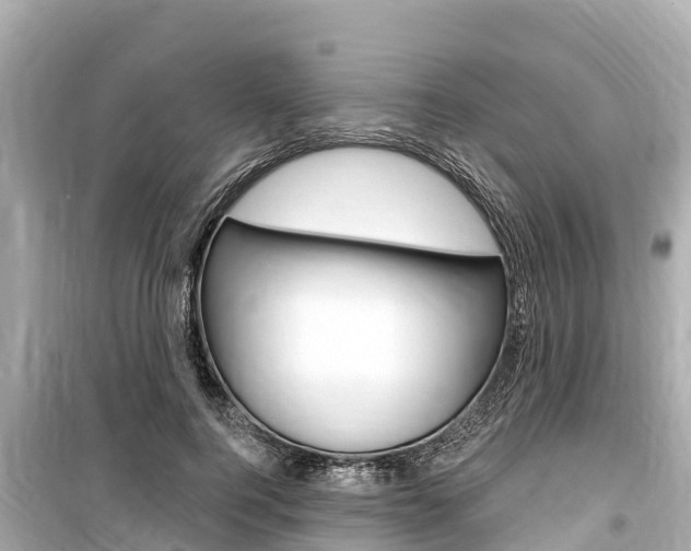 X0000099560744200805160750