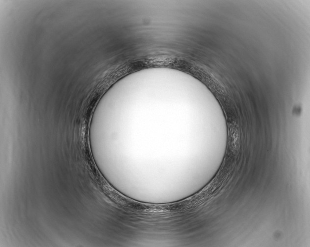 X0000099560745200805160750