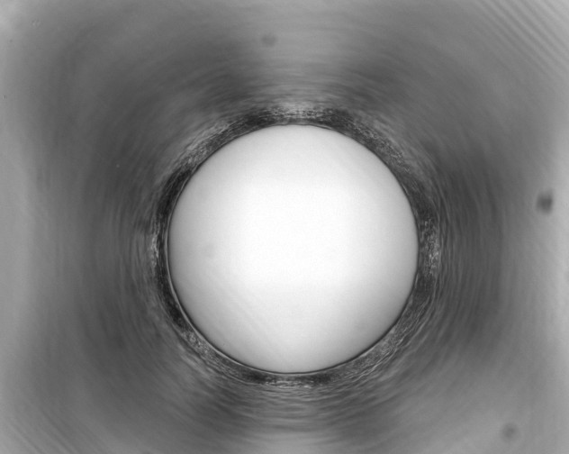 X0000099560746200805160750