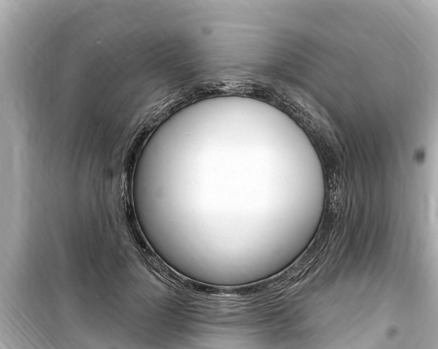 X0000099560748200805160750