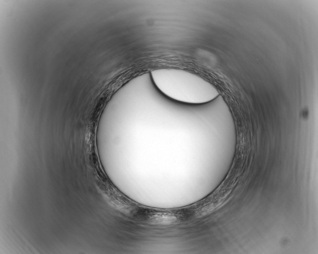 X0000099560749200805160750