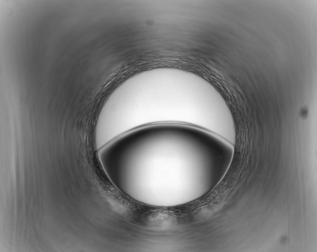 X0000099560750200805160750