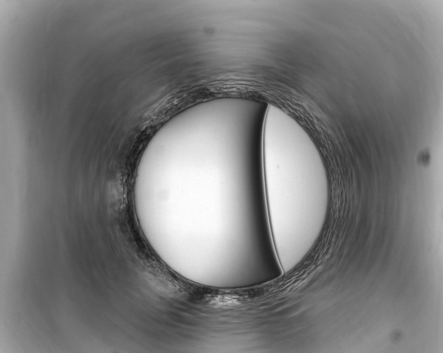 X0000099560751200805160750