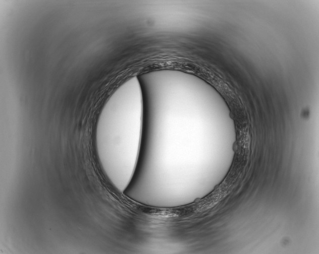 X0000099560754200805160750