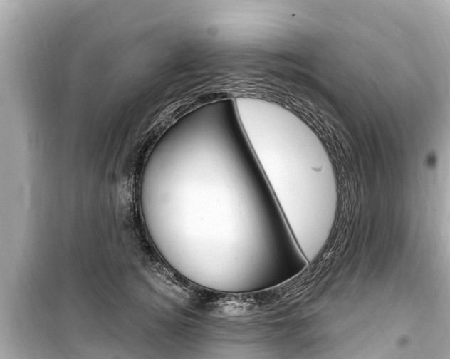 X0000099560756200805160750