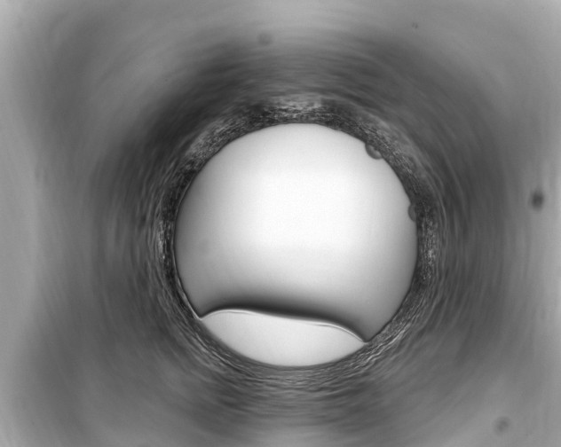 X0000099560758200805160750