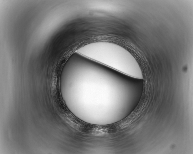 X0000099560760200805160750