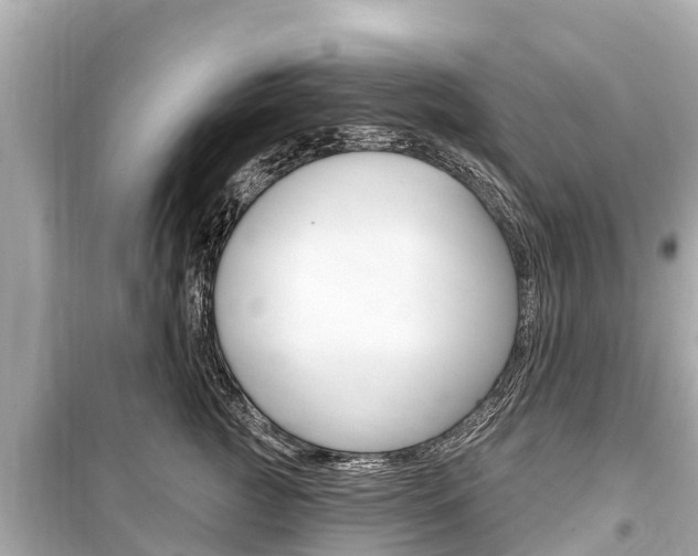 X0000099560761200805160750