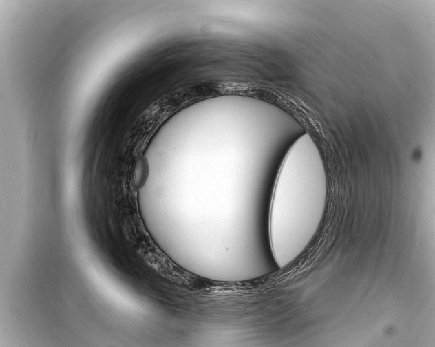 X0000099560763200805160750