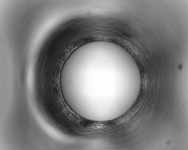 X0000099560764200805160750
