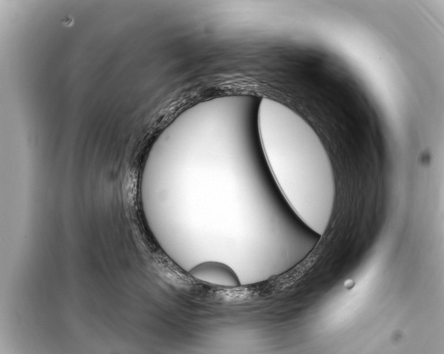 X0000099560767200805160750