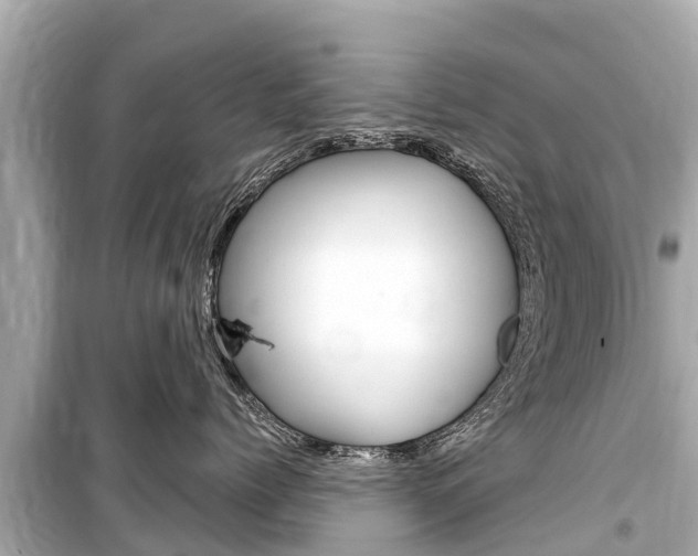 X0000099560768200805160750