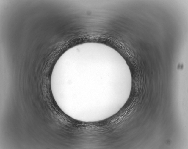 X0000099560769200805160750