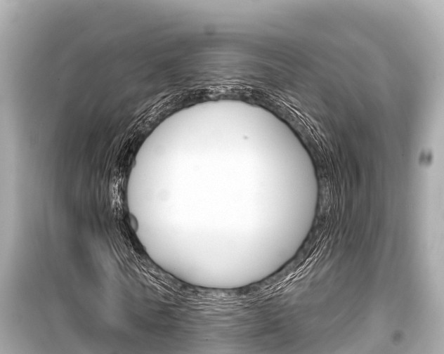 X0000099560770200805160750